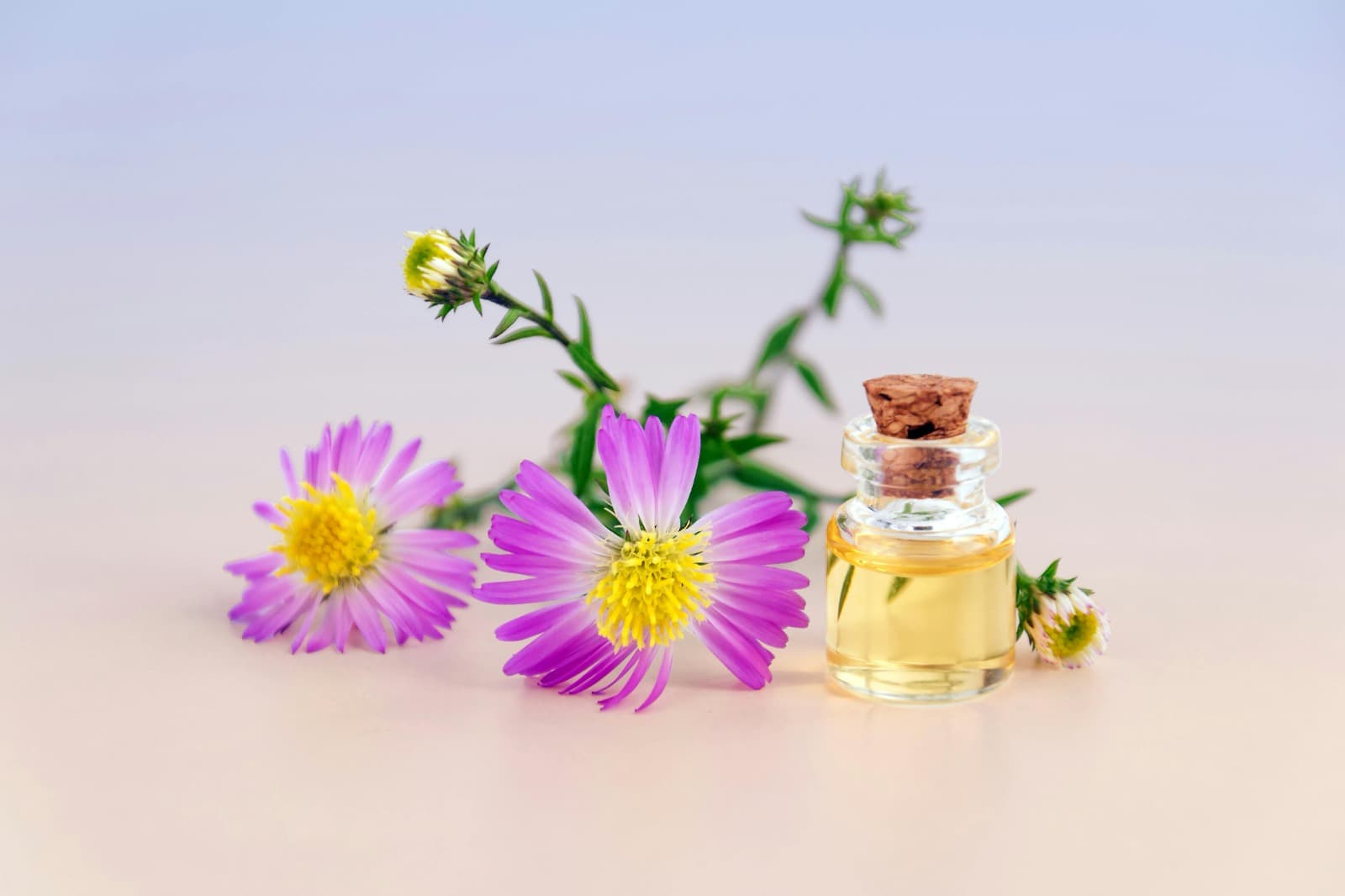 Step-by-Step Guide to Try Before You Buy Perfume UK