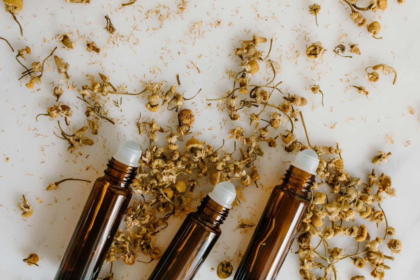 Unlock the Secrets of Ayurveda with Our Online Courses
