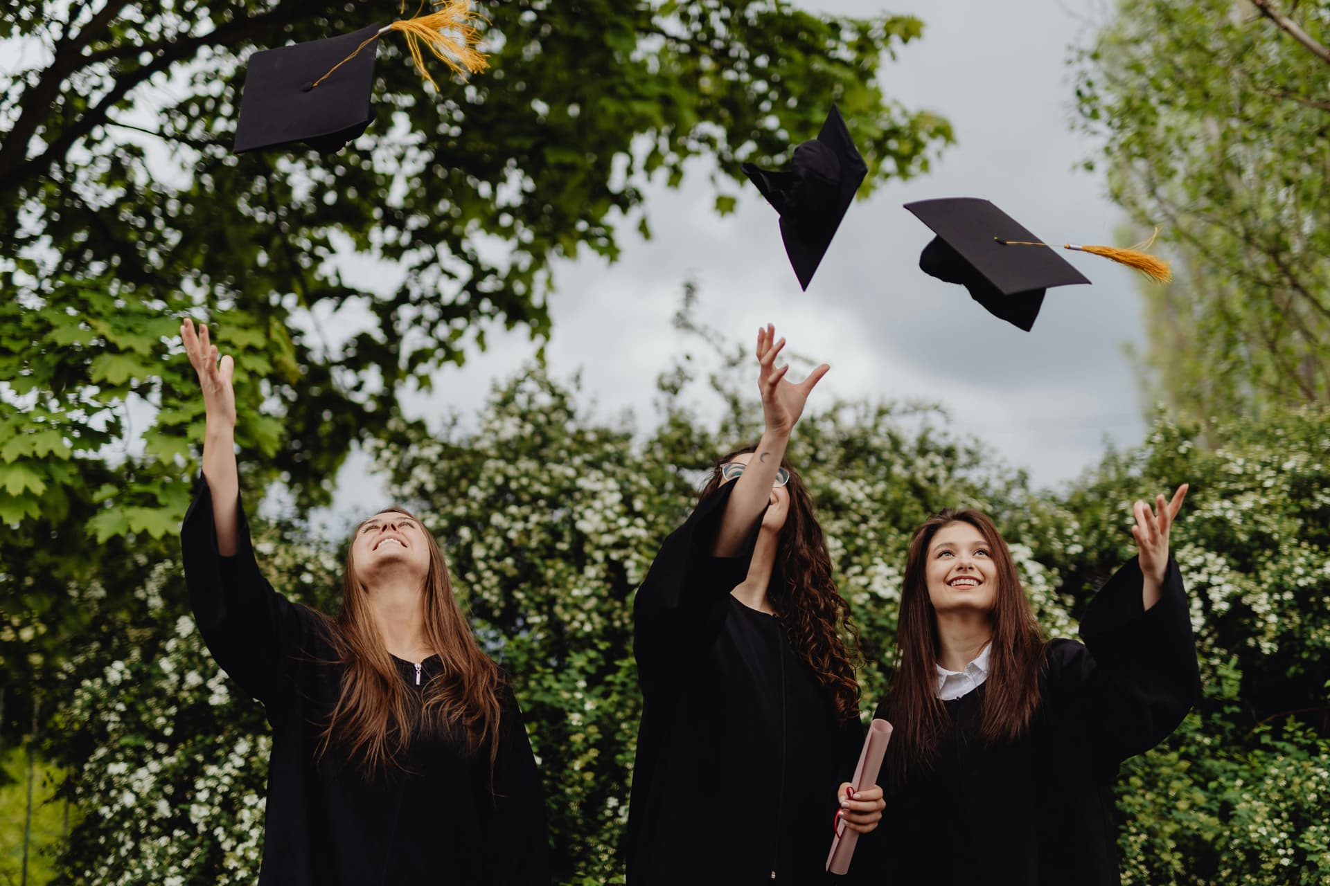 Buy Diploma With Authentic Design and Formatting