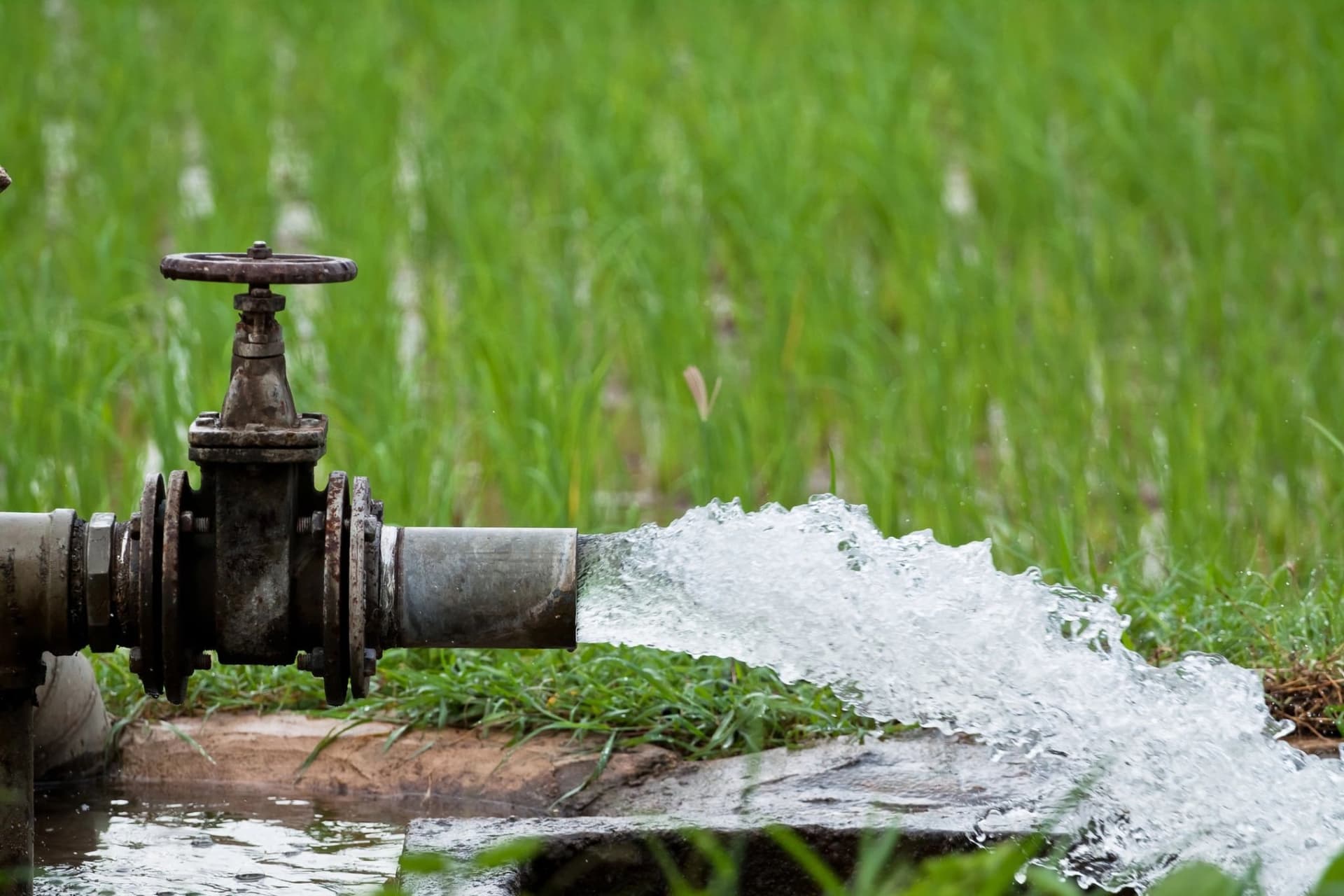 Professional Expert Drainage Services in Springtown , TX That Protect Your Property