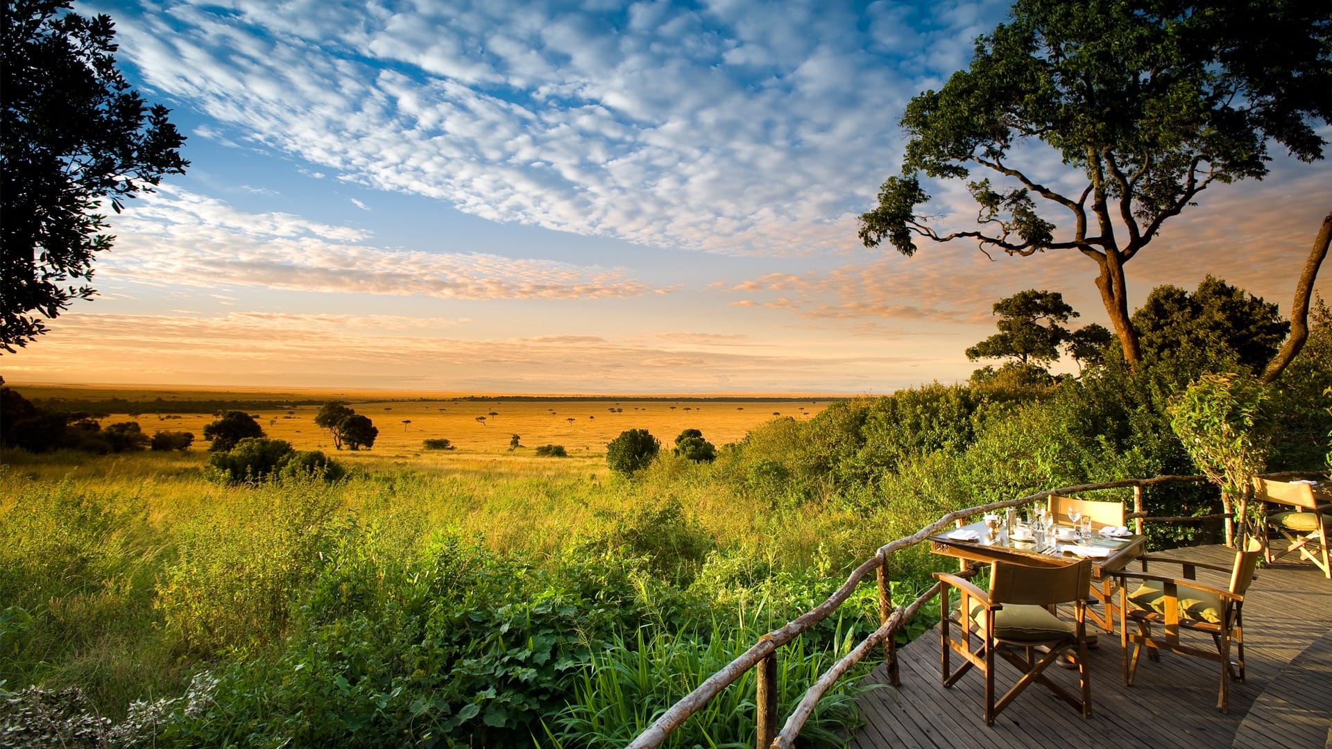 Kenya Safari Tours | The Ultimate Guide to an Unforgettable African Safari