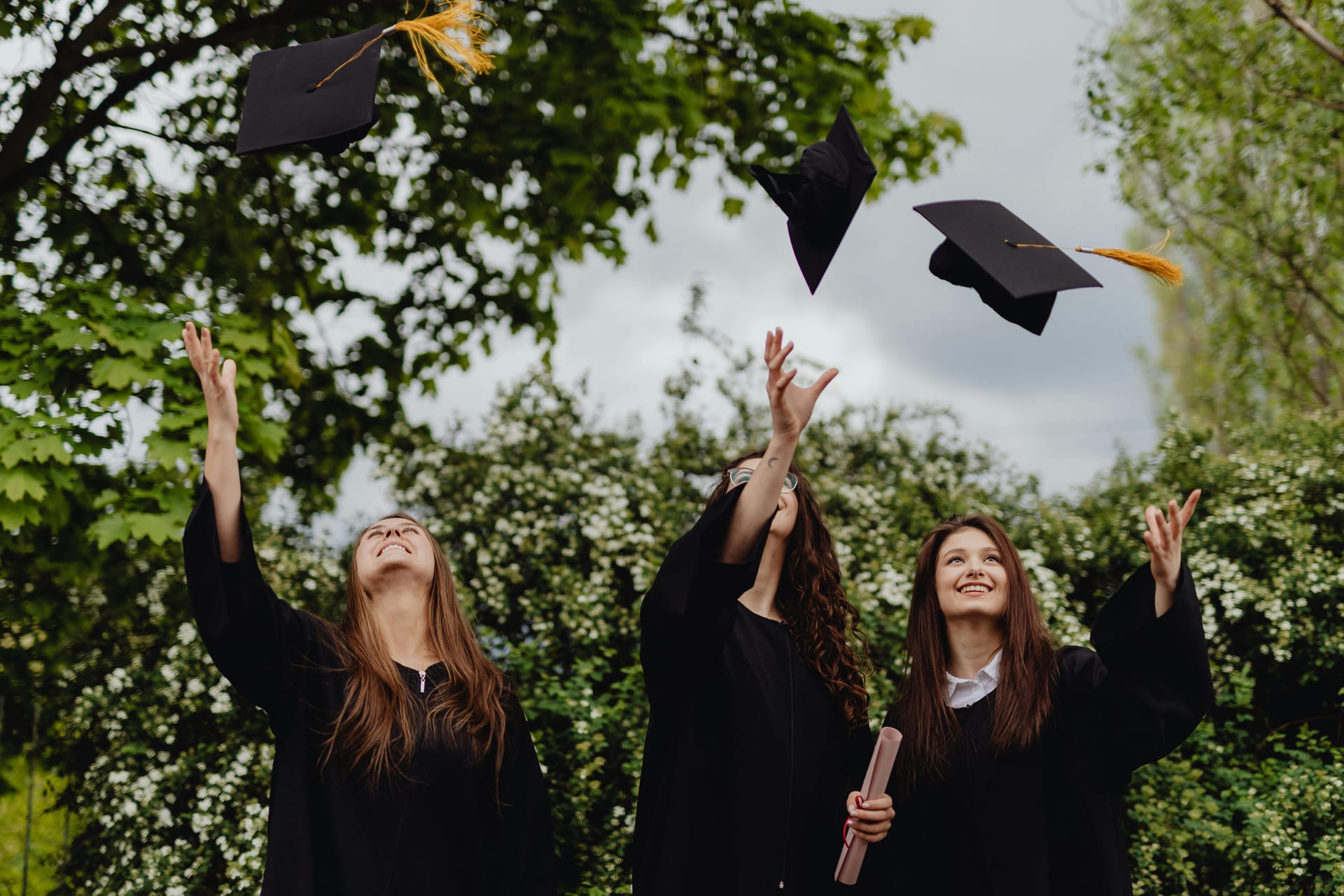 Buy Diploma With Authentic Design and Formatting