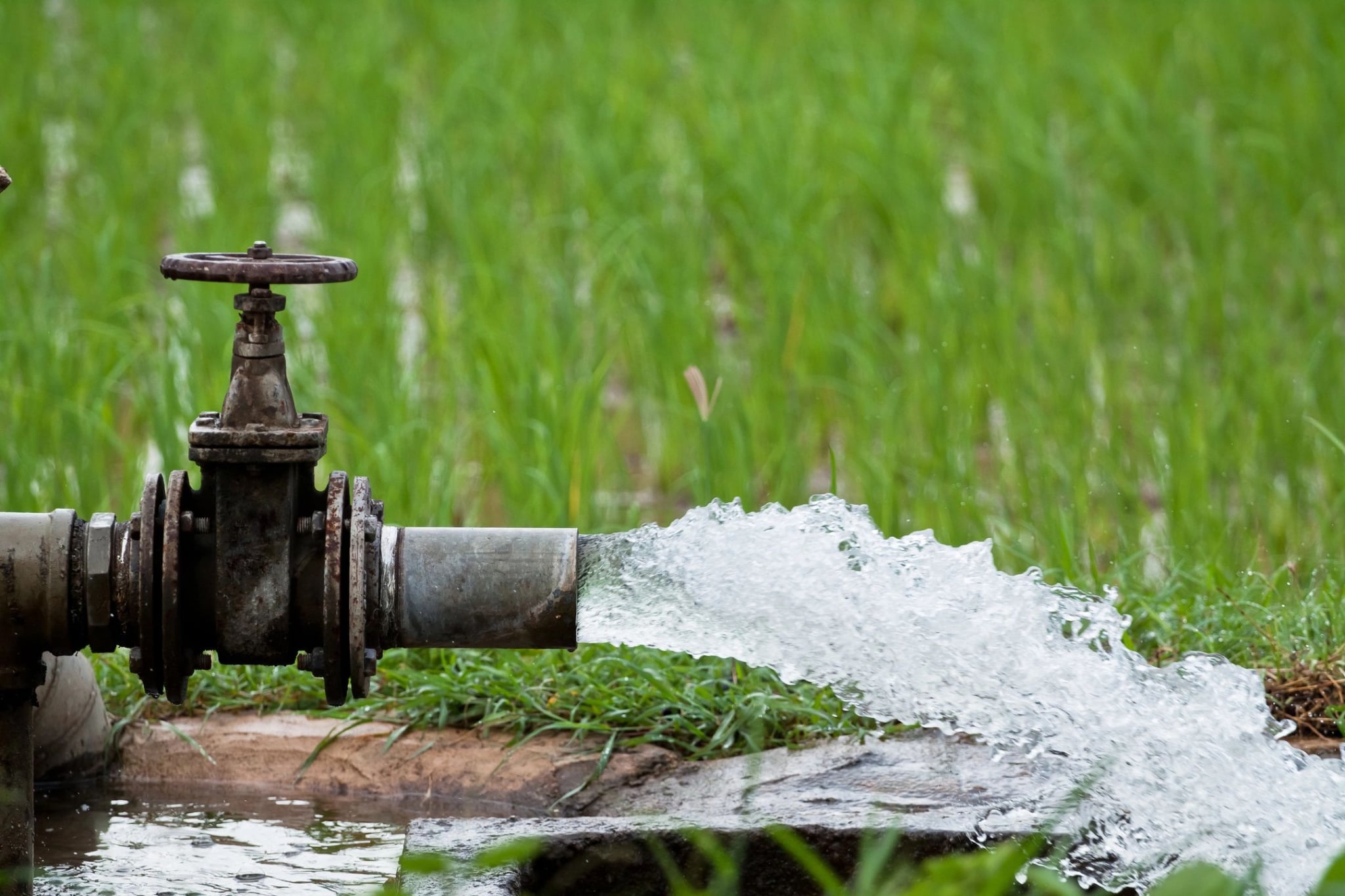 Professional Expert Drainage Services in Springtown , TX That Protect Your Property