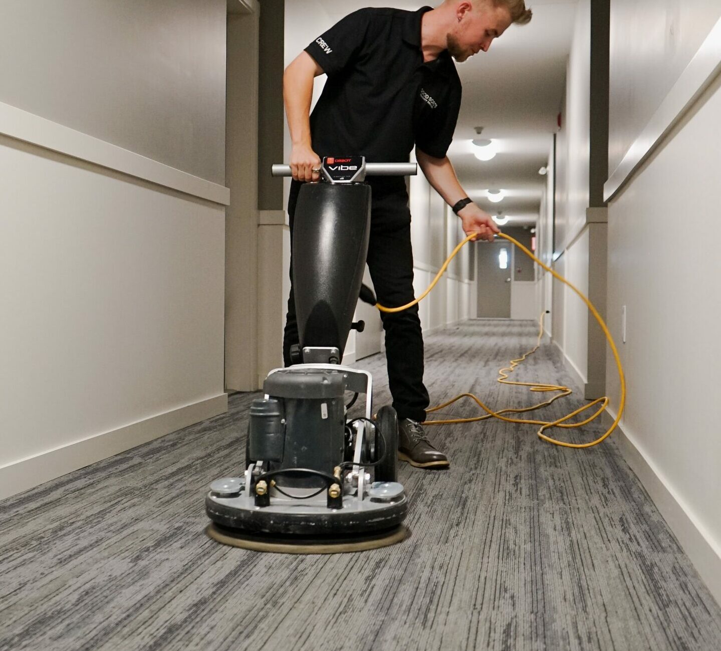 Expert carpet cleaning bee cave tx for Deep and Lasting Clean